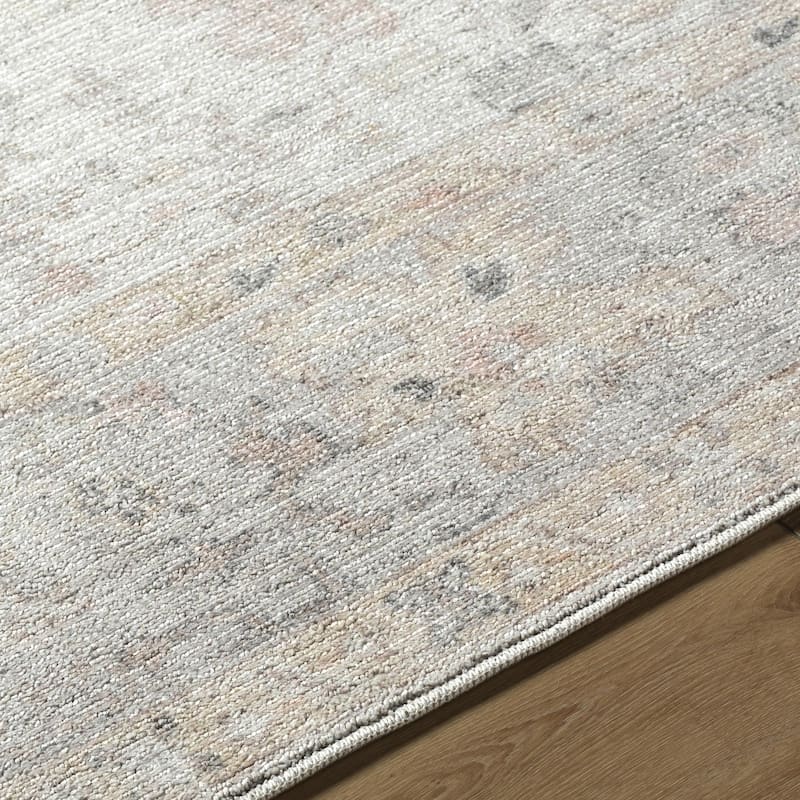 Haily Traditional Oriental Area Rug
