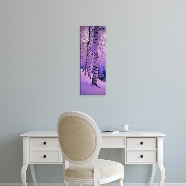 Easy Art Prints Panoramic Images's 'Birch trees at the frozen riverside, Vuoksi River, Imatra, Finland' Canvas Art