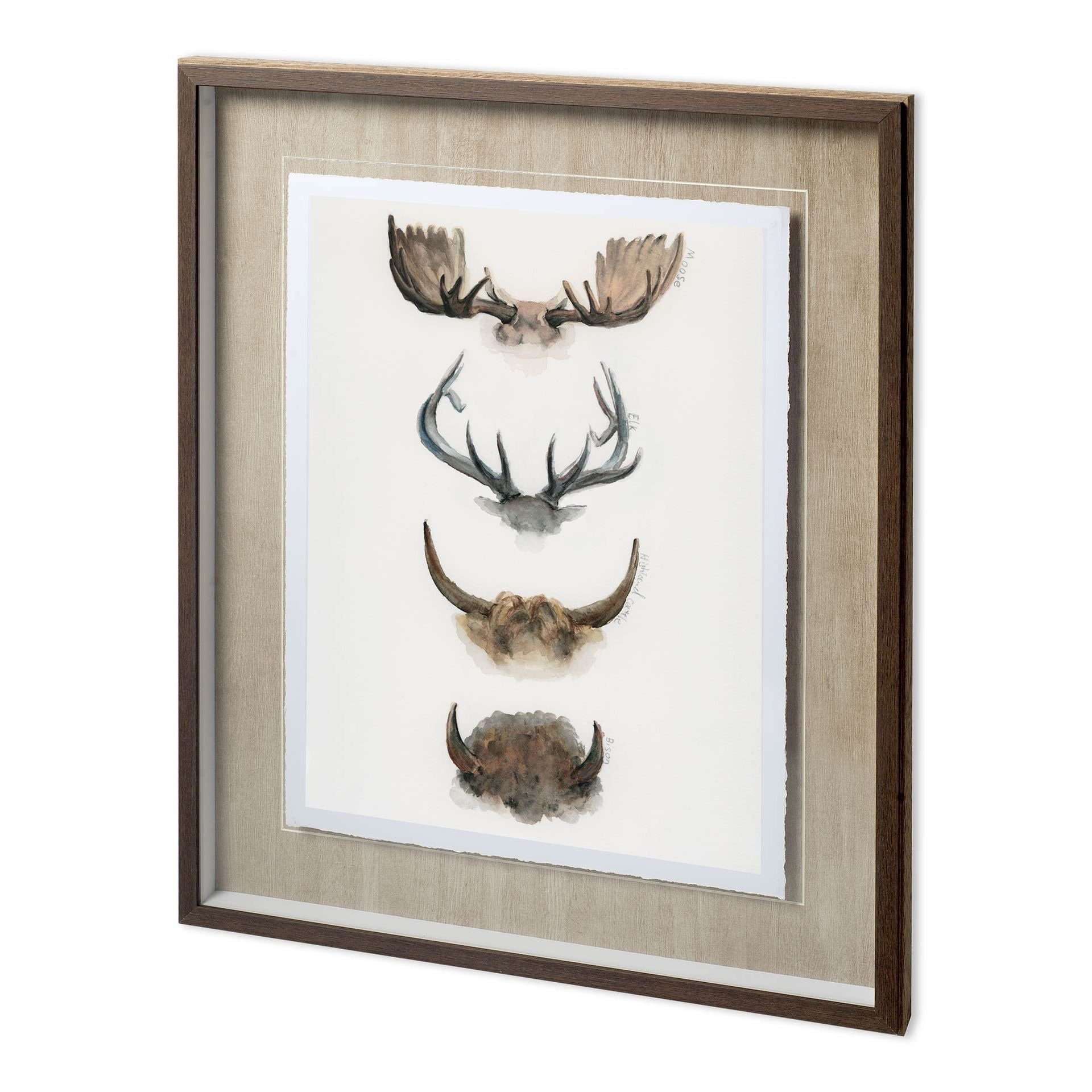 Horn & Tail Study II by Mercana Studio Hand Embelished Textured Framed Art Print Matted under Glass