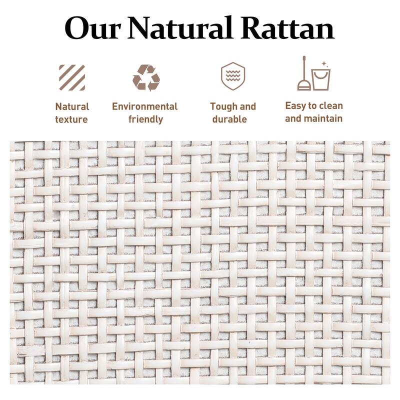 2 Door Rattan Storage Cabinet