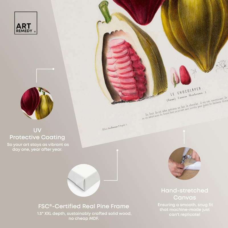 Cocoa Cacao by Etienne Denisse Canvas by Art Remedy, Gallery Wrapped