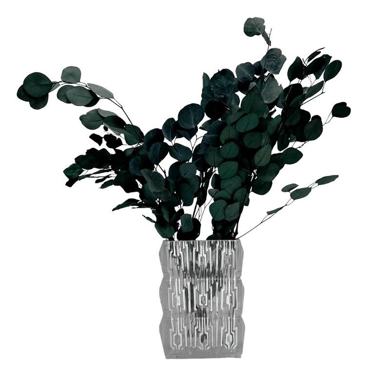 Bundle of 4 Preserved Eucalyptus Apple Leaves 24" long - 24 Inches - Tiffany Blue