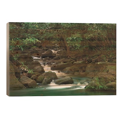 USA, Hawaii, Kauai. Creek in a rainforest. Print On Wood by Jaynes Gallery - Multi-Color