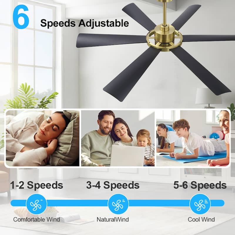 60 in. 6-Plywood Blades Indoor LED Ceiling Fan with Remote