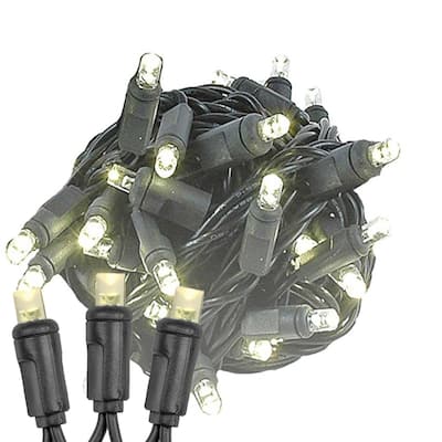 100 Light LED Christmas Mini Light Set, Patio Light, Warm White, Black Wire, 50’