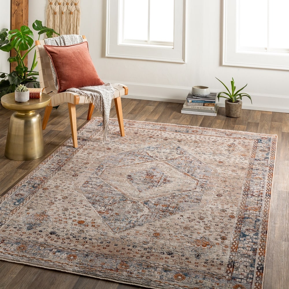 Artistic Weavers Seren Vintage Distressed Area Rug
