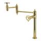Option Polished Brass