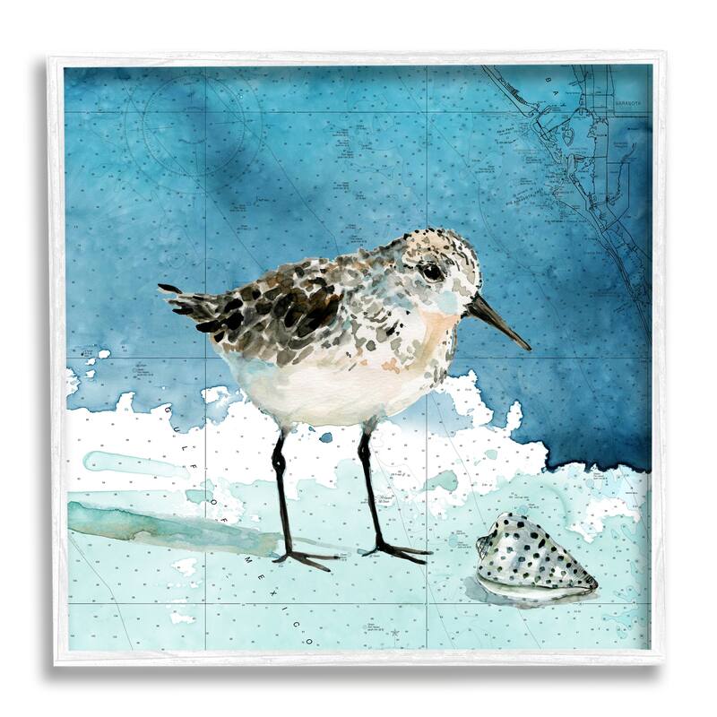 Stupell Sandpiper Bird and Shell Nautical Ocean Map Framed Wall Art - Blue - 24 x 24 - White