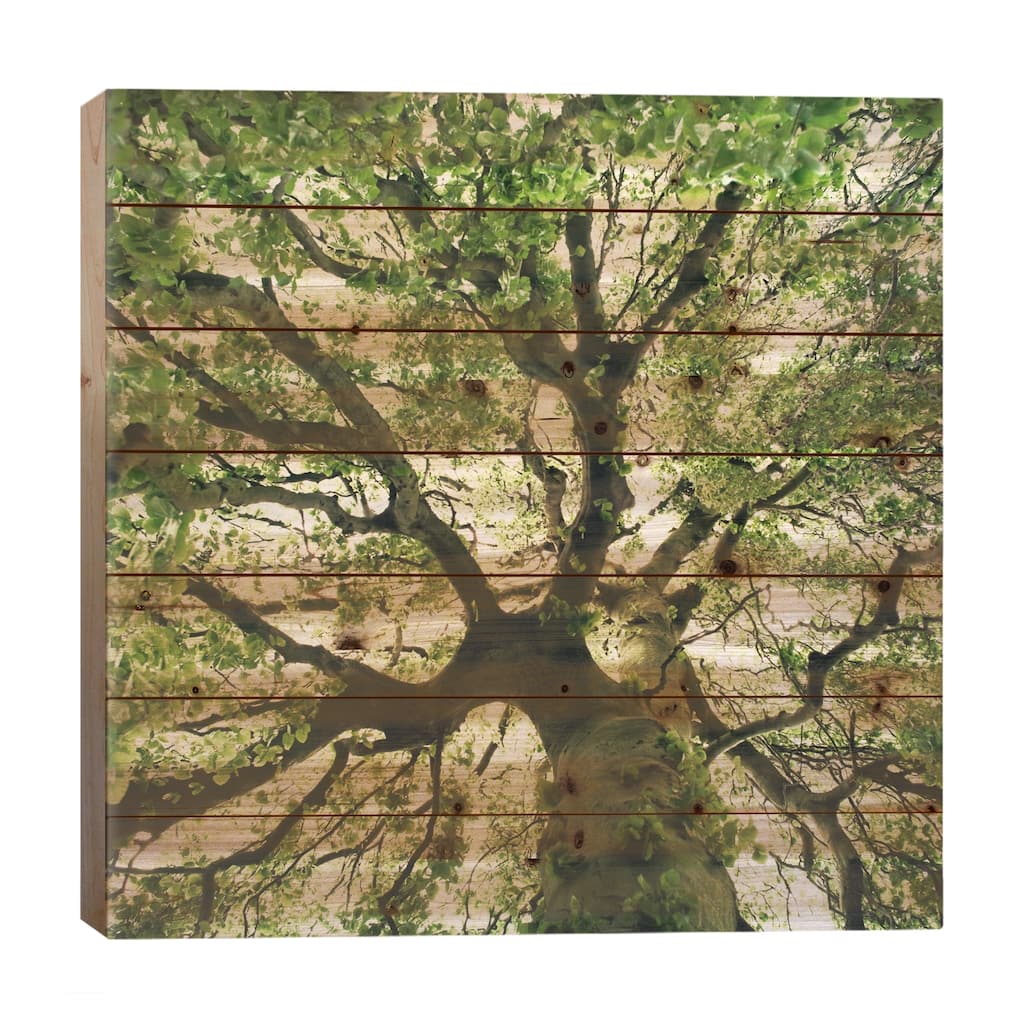 Under Your Skin Print On Wood by Tordis Kayma - Multi-Color