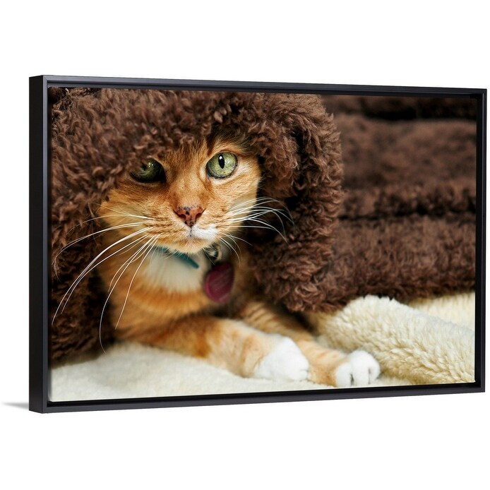 Shop Orange Tabby Cat Peeking Out From Underneath Brown Plush