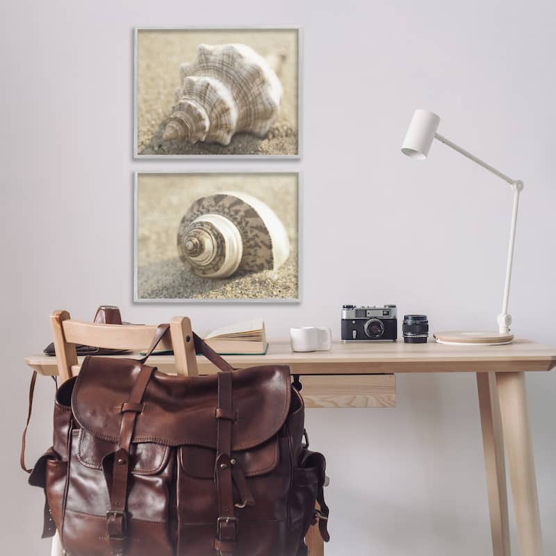 Stupell Neutral Tone Sea Life Framed Giclee Art Design By Dora Rotondella (Set of 2)