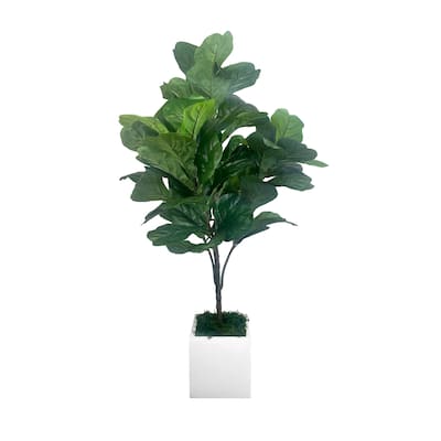 3.5 ft Fiddle Tree in Fiberstone Planter - Green
