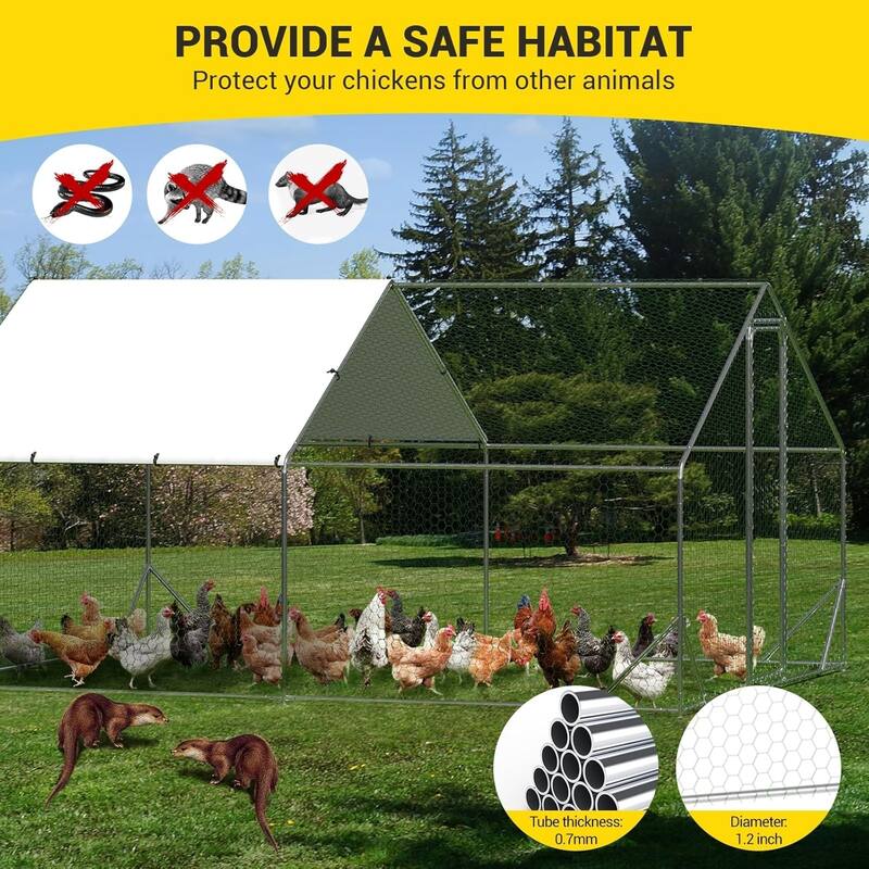 9.8 x 6.5 x 6.5FtGalvanized Steel Chicken PenWalk-in Poultry Cage