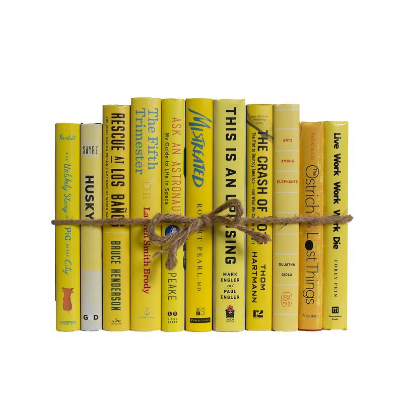 Books Yellow Decorative Accessories: Sunshine Dust Jacket ColorPak