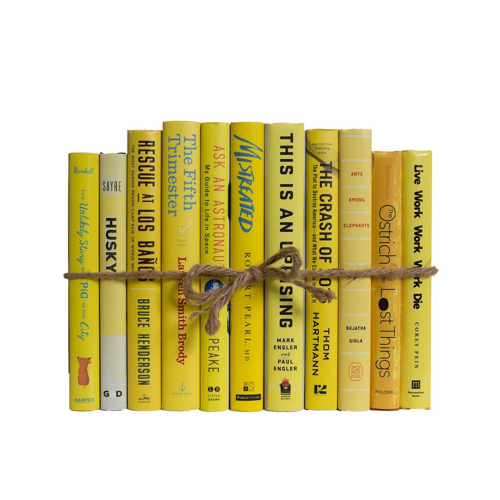 Books Yellow Decorative Accessories: Sunshine Dust Jacket ColorPak