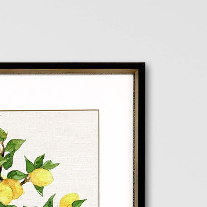Fruit Topiary S/2 Framed Art Exclusive Giclee Under Glass - Multi-Color