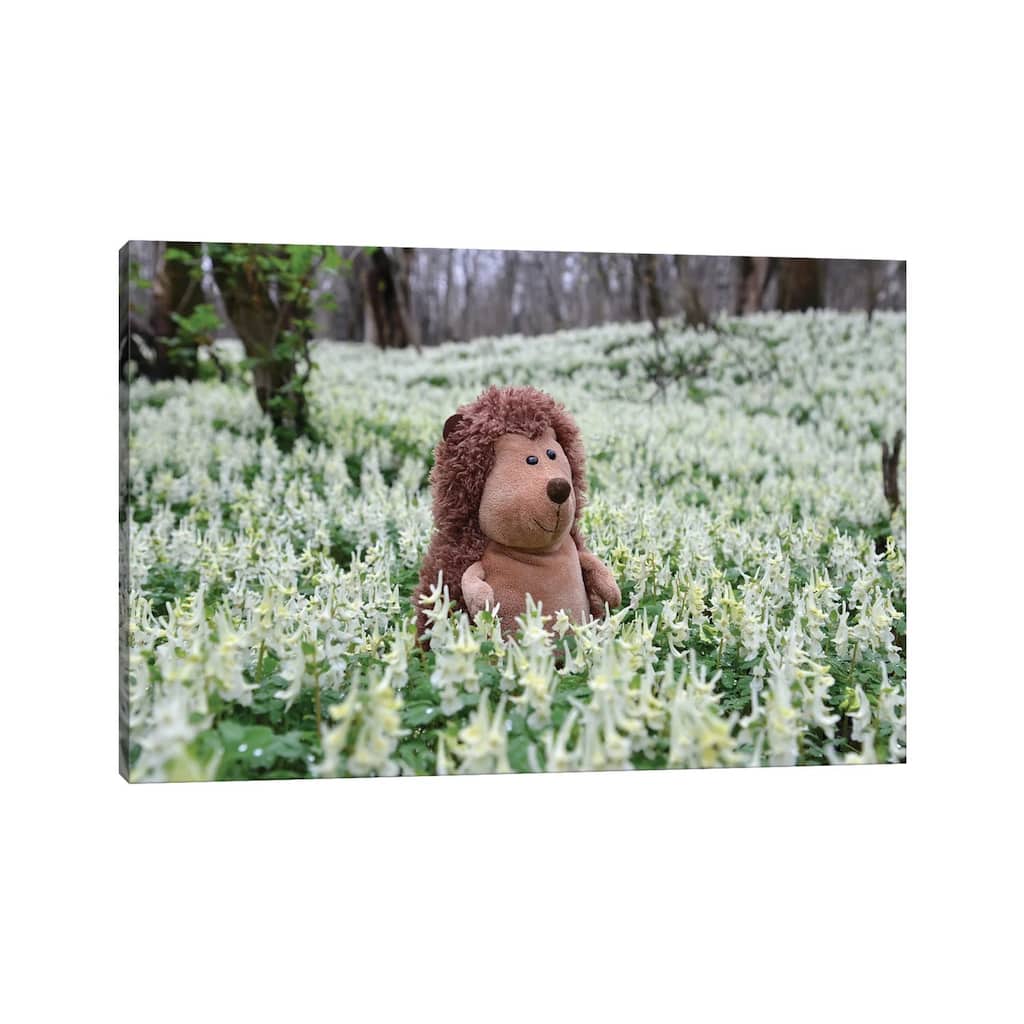 iCanvas "Hedgehog In A Blooming Meadow II" by Mike Kiev Canvas Print