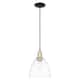 Option Clear / Black Antique Brass
