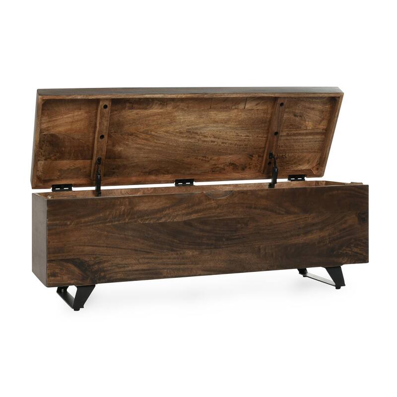 Axis 46" Storage Trunk in Dark Brown Finish by Kosas Home