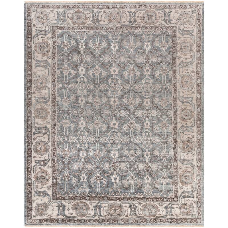 Hand-Knotted Bingham Border Viscose Area Rug