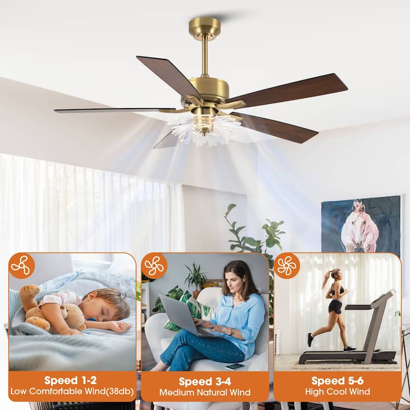 52" Modern Gold Acylic Flower Diammable Ceiling Fan with Light and Remote