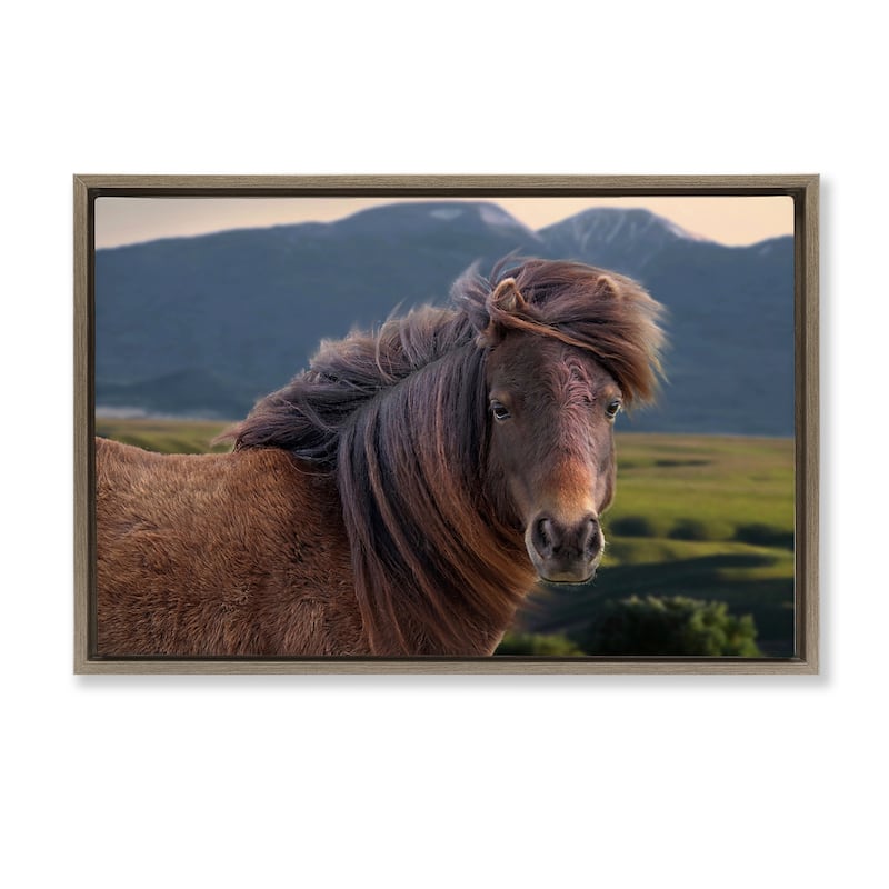 Stupell Windblown Mare in Mountain Valley Framed Floater Canvas Wall Art Design By Steve Toole - 31 x 21 - Brown