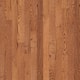 Option Gunstock