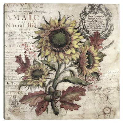 Olde Sunflower Ivory by Geoff Allen Canvas Art Print