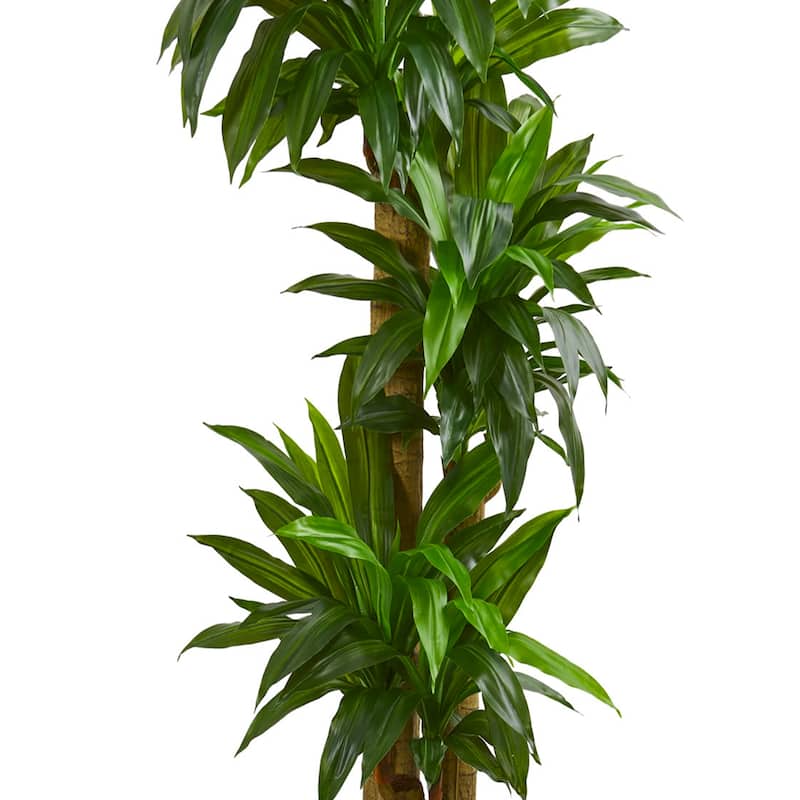 5.5' Cornstalk Dracaena Artificial Plant in Slate Planter (Real Touch) - Green
