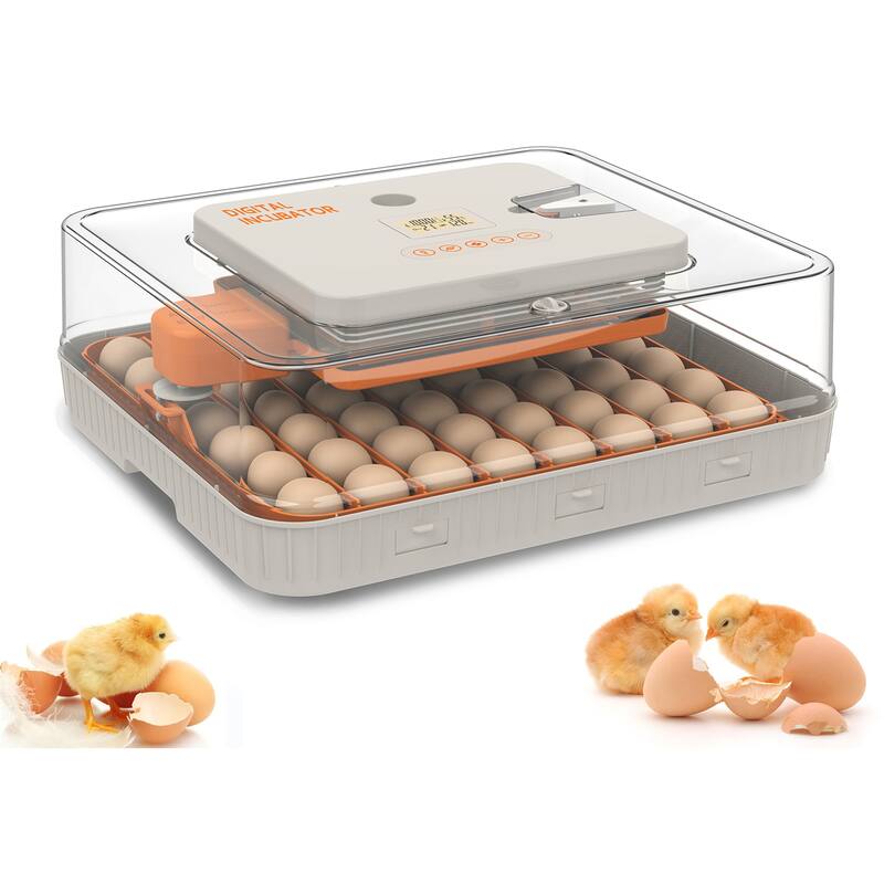 56 Egg Incubator Built-in Egg Candler and Auto Water Refill - Orange