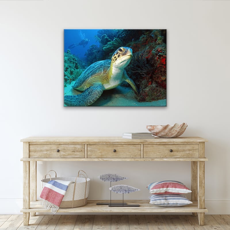 Ready2HangArt 'Turtle' Wrapped Canvas Wall Art