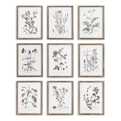 Rustic Foliage Study
