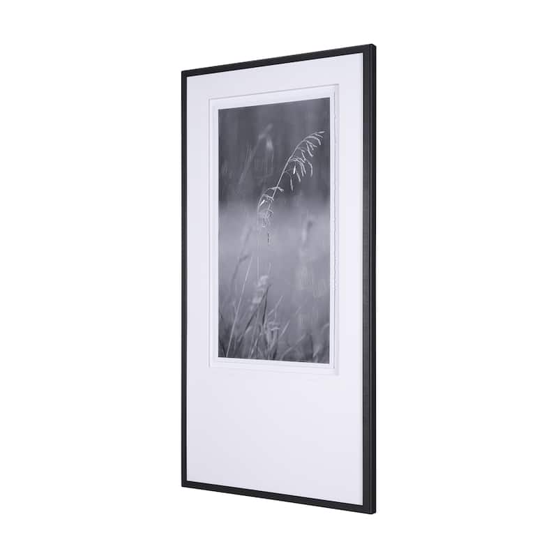 Summer Light II Framed Art Print