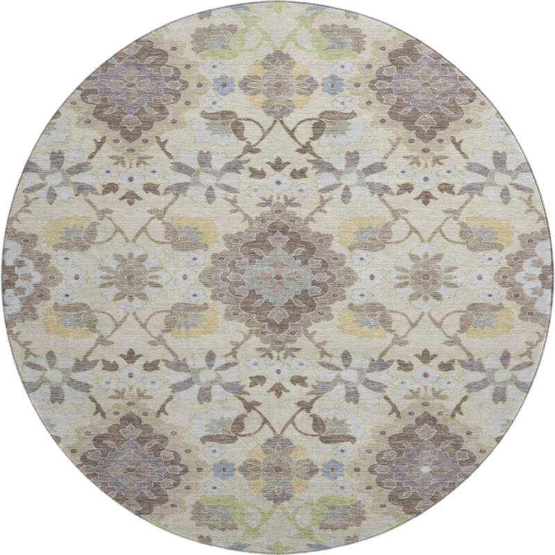 Premium Washable Super Soft Traditional Grace Mayfield Rug