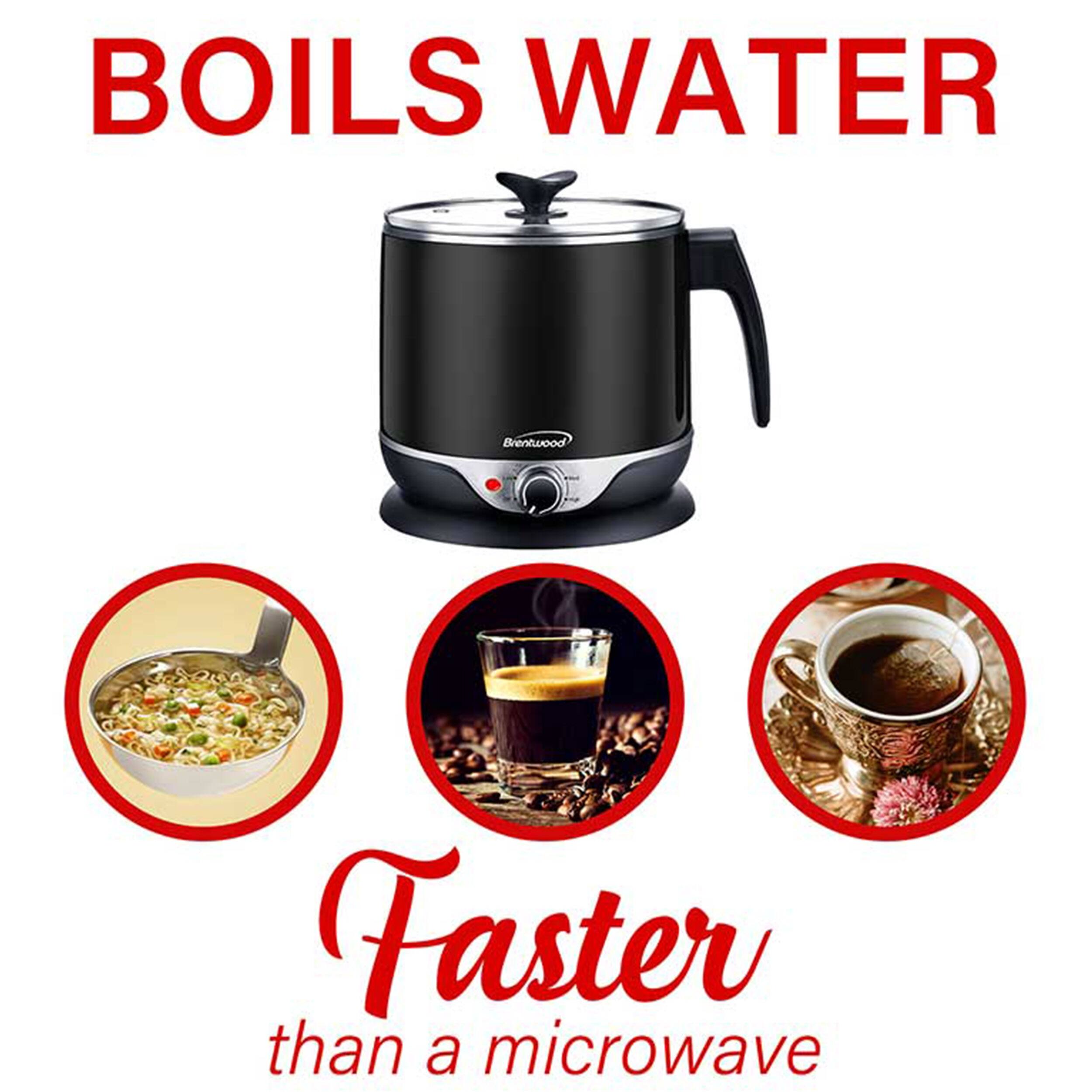 Brentwood Stainless Steel 1.9qt Electric Hot Pot Cooker and Steamer 1