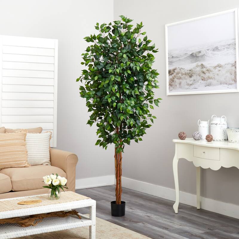 7’ Ficus Silk Artificial Tree in Black Pot