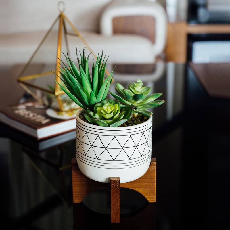 Artificial Plant Succulent IN GOLD HANDPIANT 5" CERAMIC FOOTED STAND - ONE-SIZE