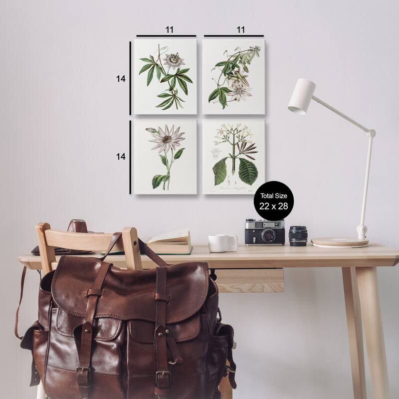 Stupell Various Vintage Botanicals Canvas Wall Art Design By CAD Design (Set of 4)