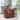 Copper Grove Domenic Contemporary Upholstered Swivel Accent Chair