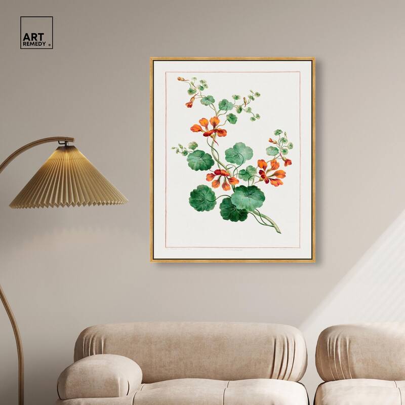 Nasturtium (1788) Canvas by Art Remedy