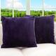 Option Purple
