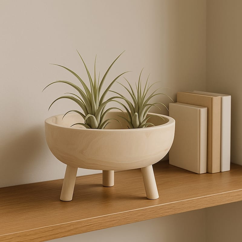 Round Wooden Bowl with Tripod Base for Home Decor - 11", White