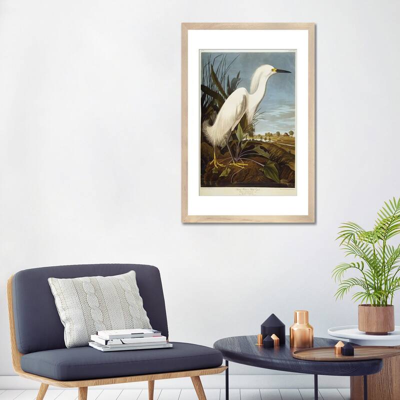 iCanvas "Snowy Heron Or White Egret / Snowy Egret " by John James Audubon