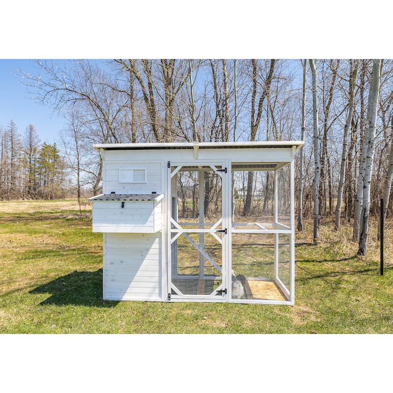 Zylina Modern Walk-in Chicken Coop