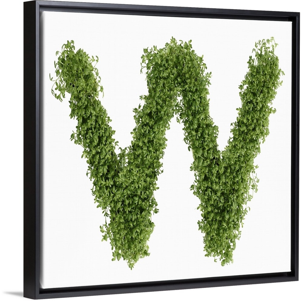 Shop Letter W Black Float Frame Canvas Art Overstock 31196054