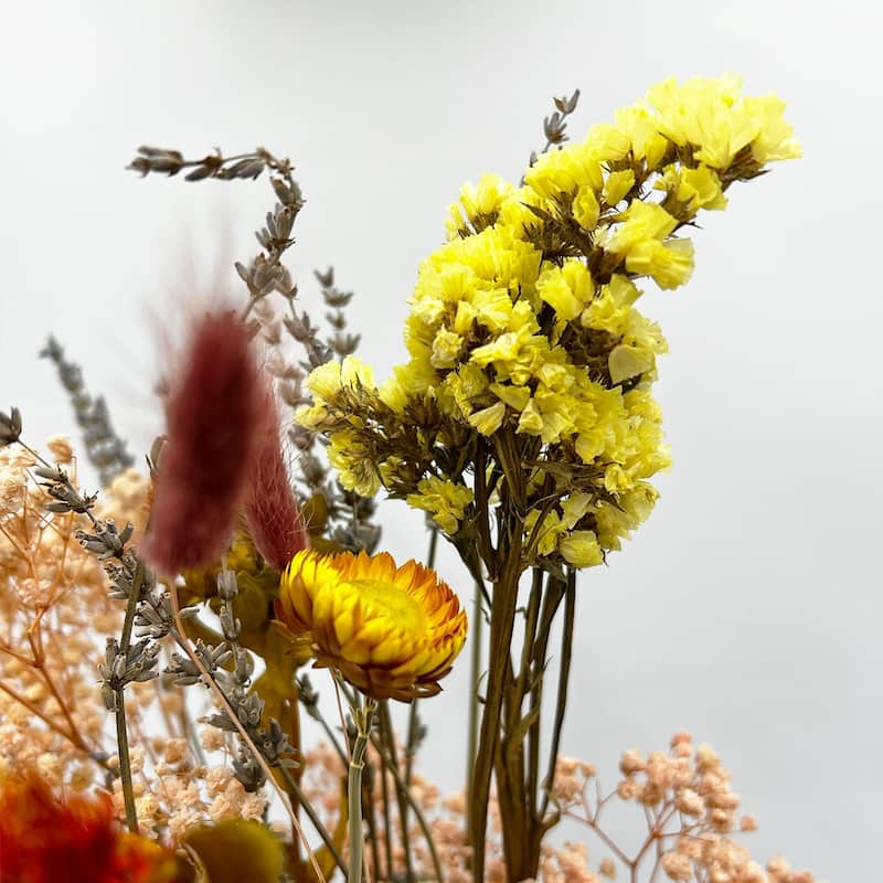 Real Preserved Mixed Bouquets Mix 1 Small - Med - Large - Multi Colored