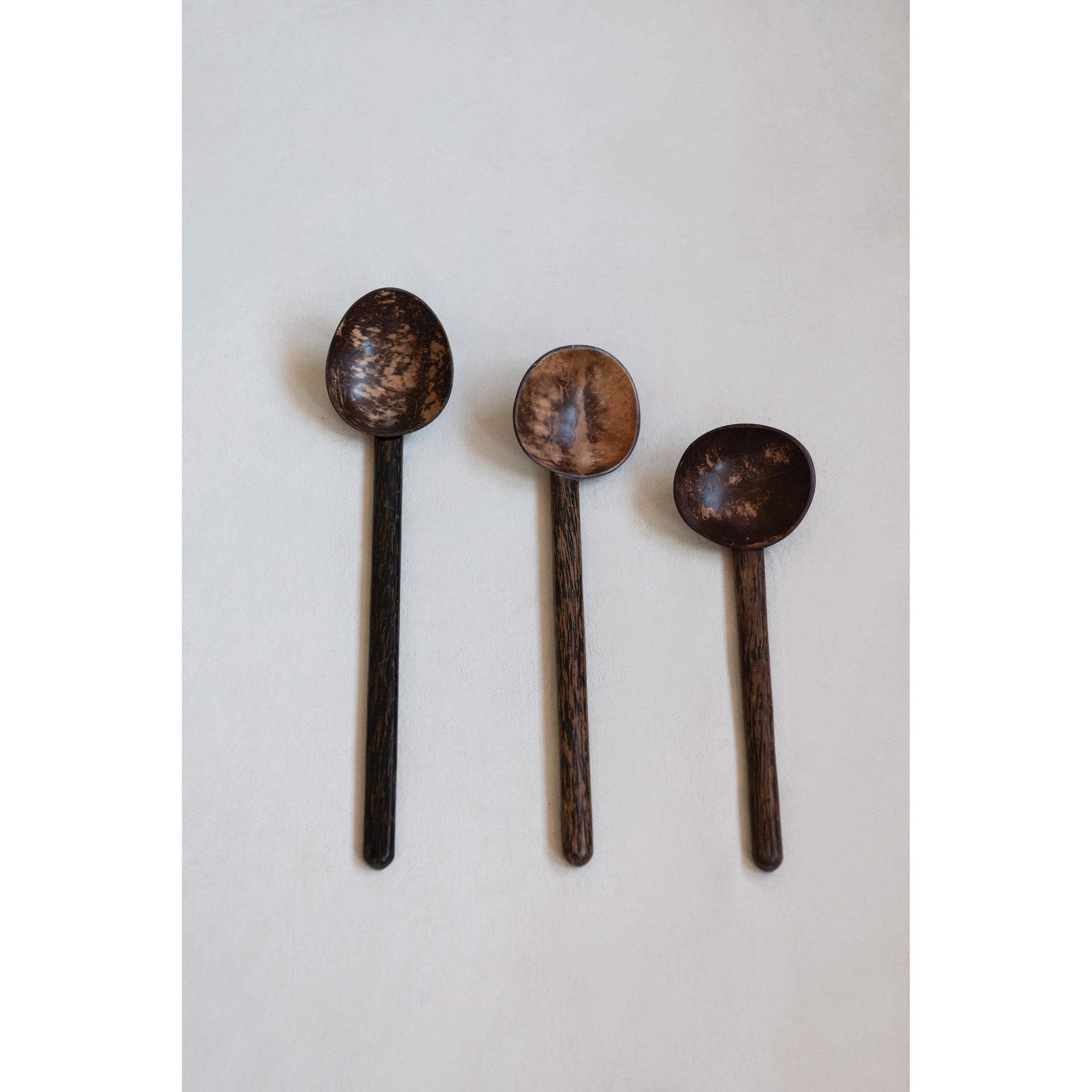 https://ak1.ostkcdn.com/images/products/is/images/direct/a2ebc3ac6d5c10d13a36bab8ecccb76406d8a232/Coconut-Shell-Spoon-with-Mango-Wood-Handle%2C-Set-of-3-Styles.jpg