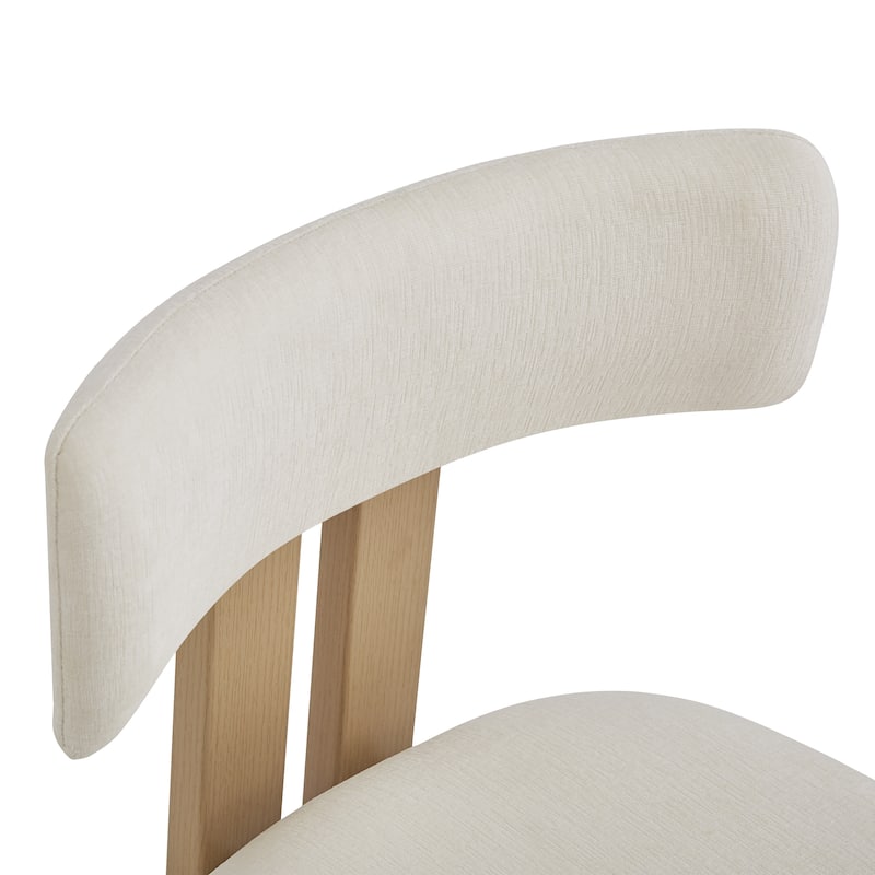 Upholstered Side Chair Dining Chairs (Set of 2)