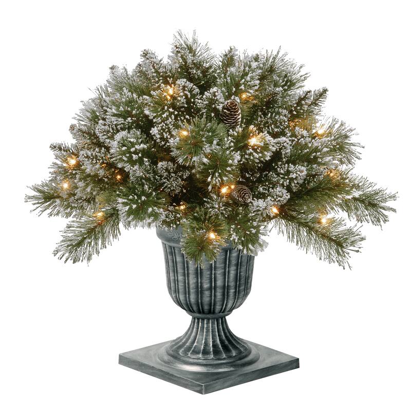 National Tree Company 2 ft. Glittery Bristle Pine Porch Bush with Twinkly LED Lights - Green - 2 ft