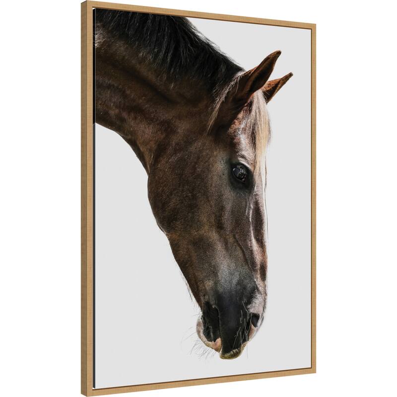 Majestic Equine Gaze by Shot by Clint (23 x 33 in.), Framed Canvas Wall Art Print